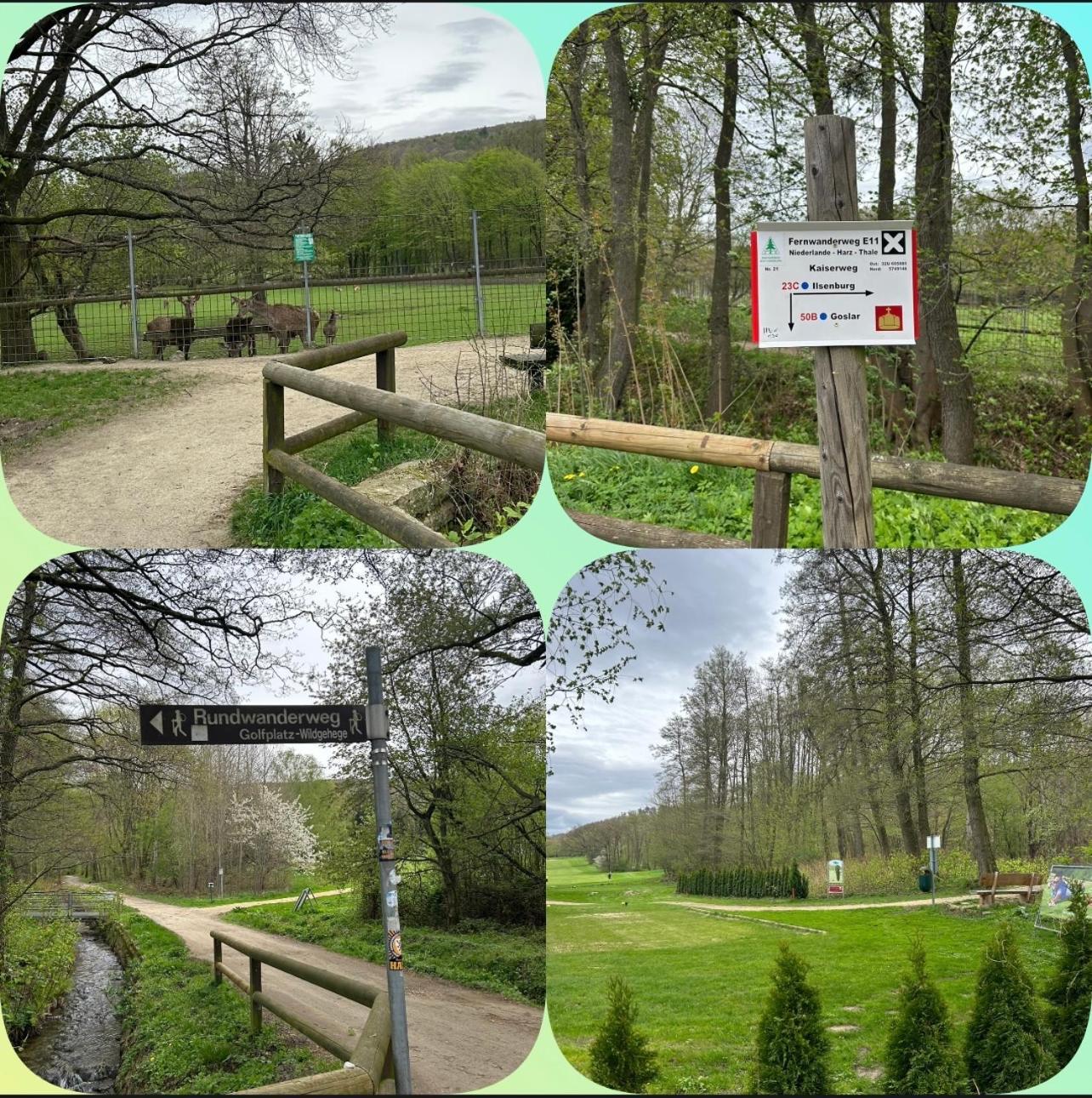 Kleine Auszeit Am Wildgehege Lejlighed Bad Harzburg Eksteriør billede
